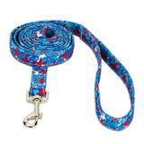 Starfish Collar, Bracelet & Leash Combo