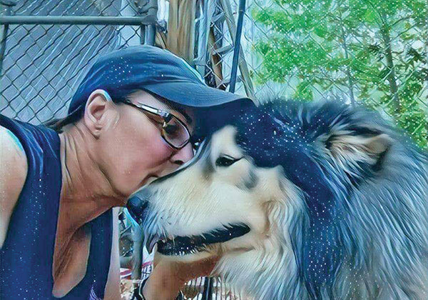 Rogue Rescue in need of help to help dogs in need.