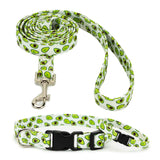 Avocado Collar, Bracelet & Leash Combo