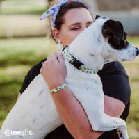 Avocado Collar, Bracelet & Leash Combo