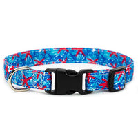 Starfish Collar, Bracelet & Leash Combo