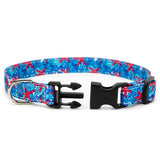 Starfish Dog Collar