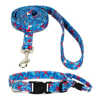 Starfish Collar, Bracelet & Leash Combo