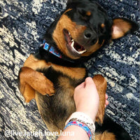 Starfish Collar & Bracelet Set