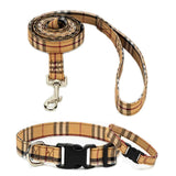 Limited Collar, Bracelet & Leash Combo