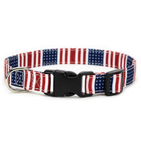 Patriot Collar, Bracelet & Leash Combo