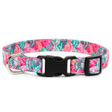 Pink Shell Collar, Bracelet & Leash Combo