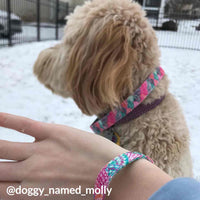 Pink Shell Collar, Bracelet & Leash Combo