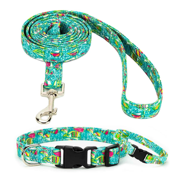 Sailboat Collar, Bracelet & Leash Combo