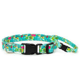 Sailboat Collar, Bracelet & Leash Combo