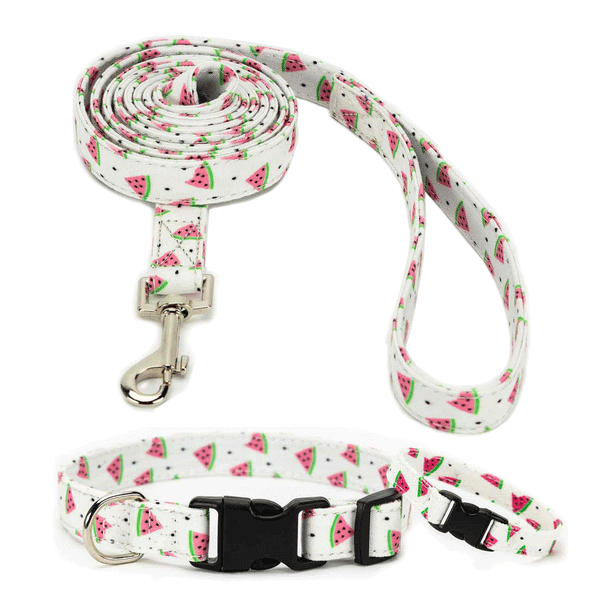 Watermelon Collar, Bracelet & Leash Combo