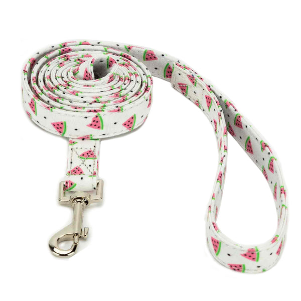 Watermelon Dog Leash