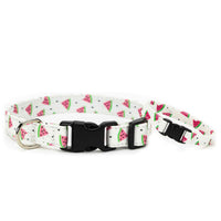 Watermelon Collar, Bracelet & Leash Combo